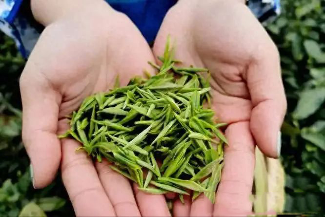 醫(yī)生研究發(fā)現(xiàn)：一旦患上糖尿病，吃飯一定要注意4點(diǎn)，別害了自己